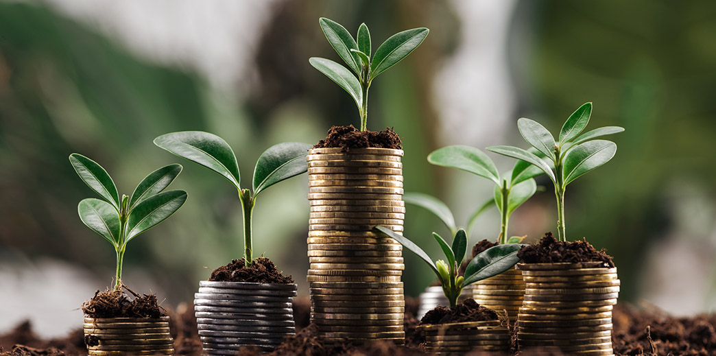 Investiție imobiliară – apartamente Mamaia Nord și Constanța